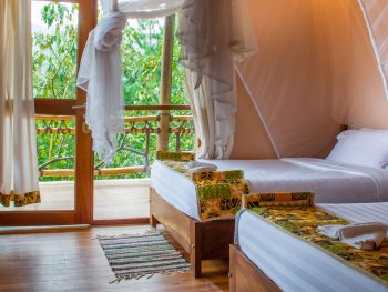 Best lodges to stay in Bwindi Impenetrable National Park