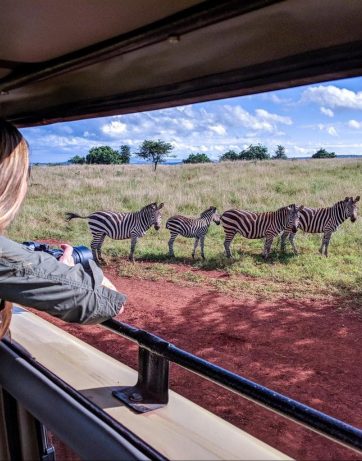 3 Day safari Akagera national park